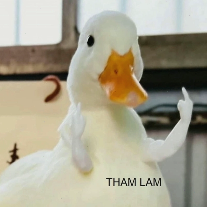 Meme tham lam mô tả sự chiếm hữu