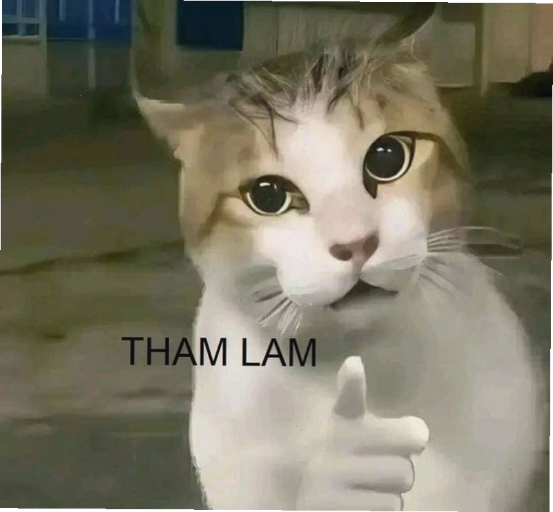 Meme tham lam ngu dốt với tình huống dở khóc dở cười