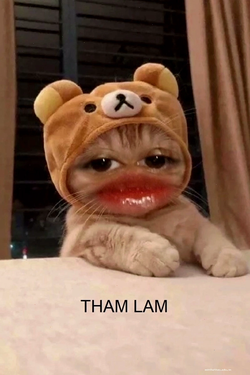 Meme tham lam với biểu cảm hài hước