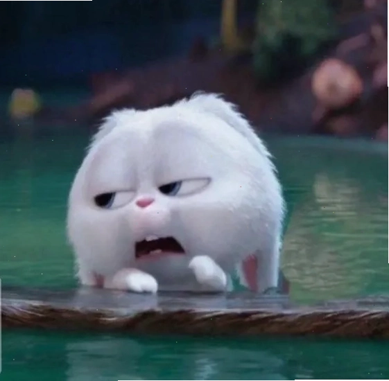Meme thỏ snowball hài hước