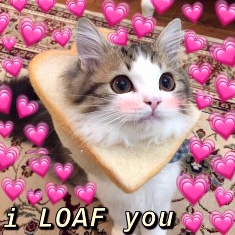 Meme tình yêu hài hước mô tả tình huống trớ trêu