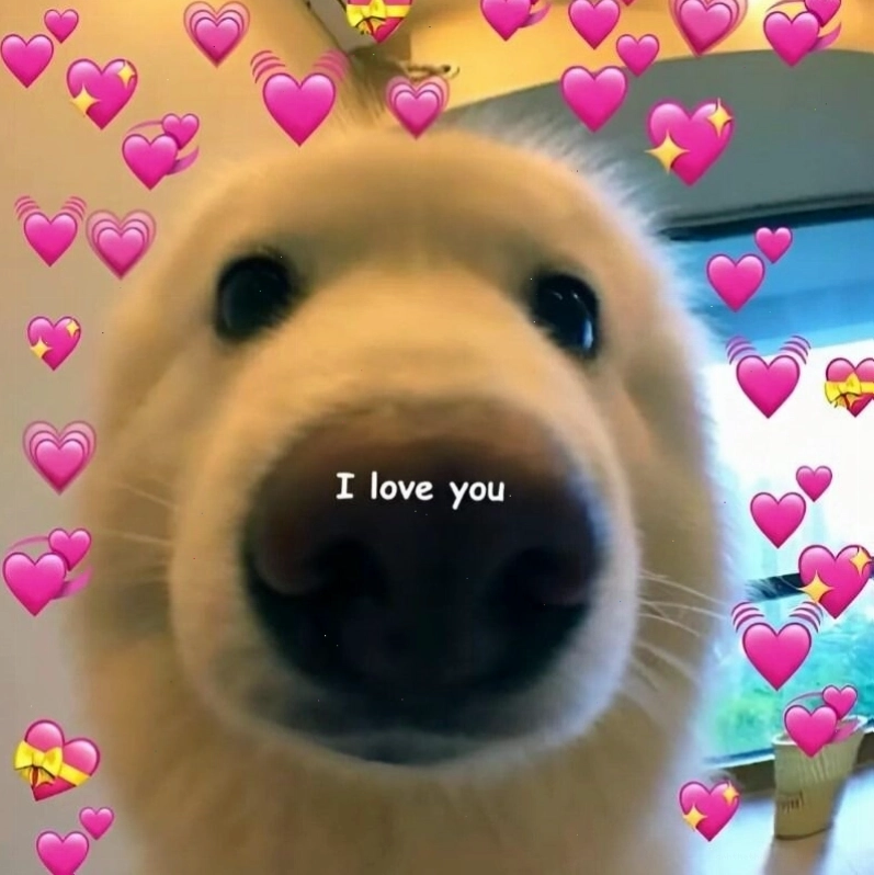Meme tình yêu thể hiện ý nghĩa sâu sắc về sự gắn kết