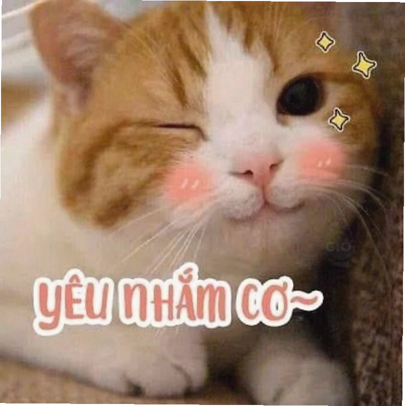 Meme tình yêu về động vật với biểu cảm 