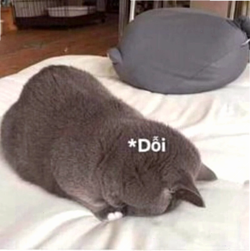 Meme tình yêu với biểu cảm 