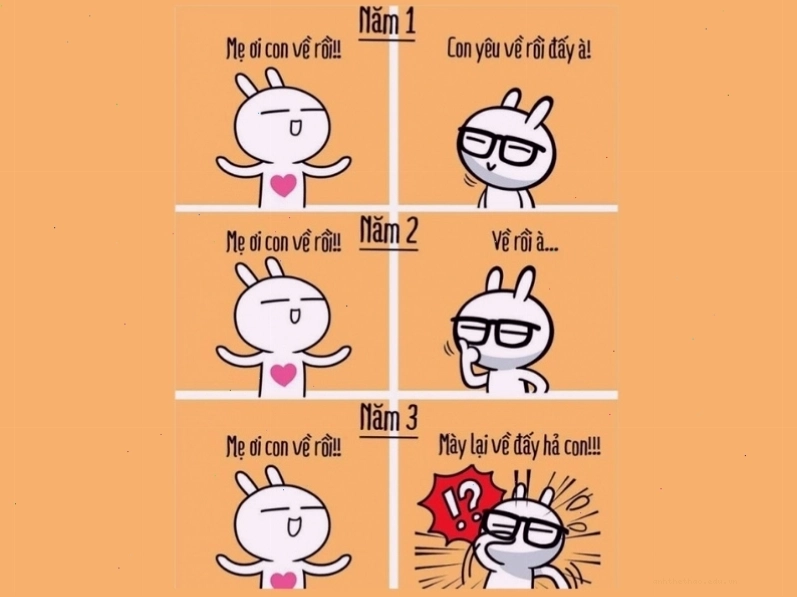 Meme về thái độ phụ huynh 3 năm đại học với con