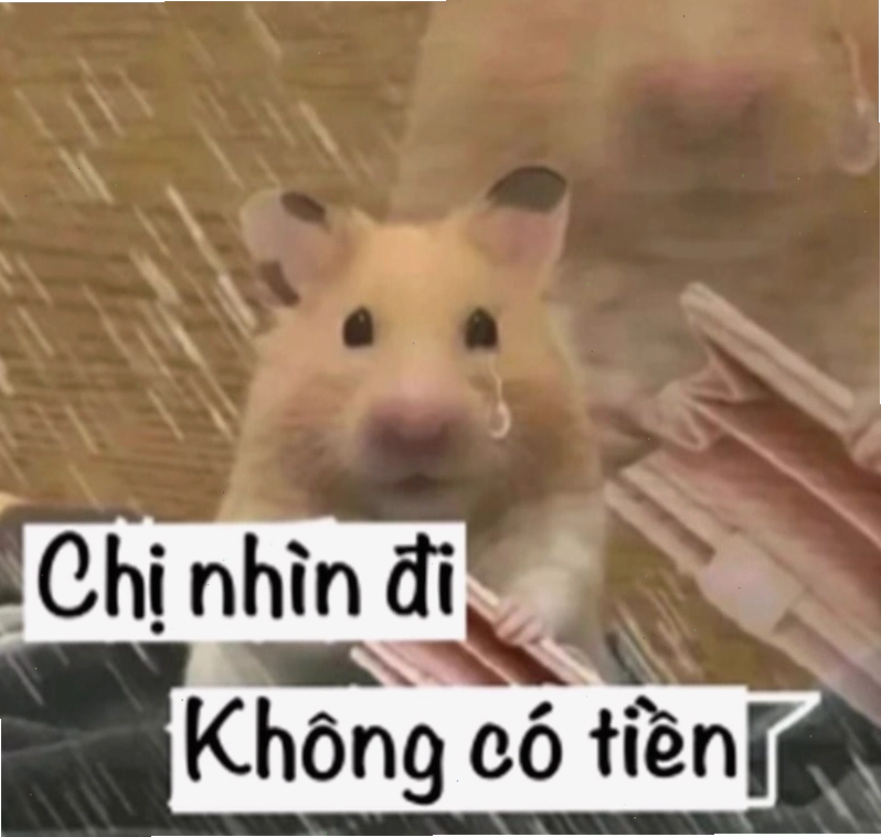 Meme về việc tiết kiệm từng đồng