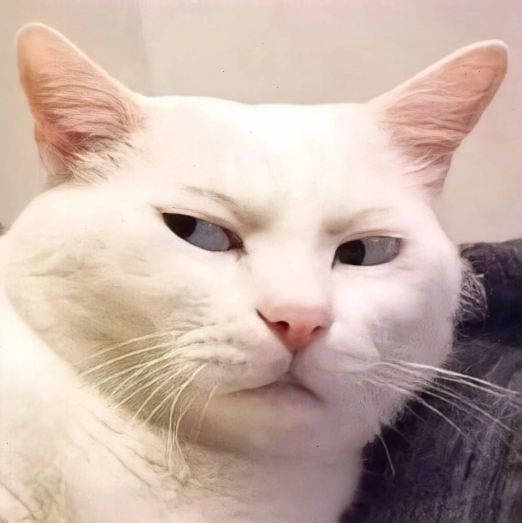 Mèo meme 