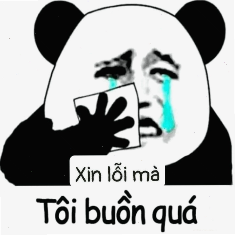 Mèo với tư thế chắp tay cầu xin