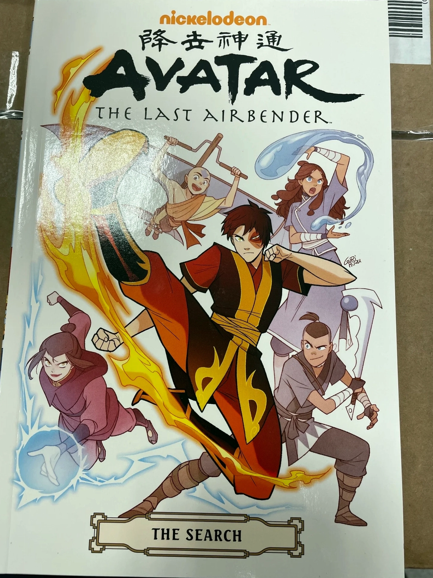 Minh họa một nhân vật từ bộ truyện tranh Avatar The Last Airbender