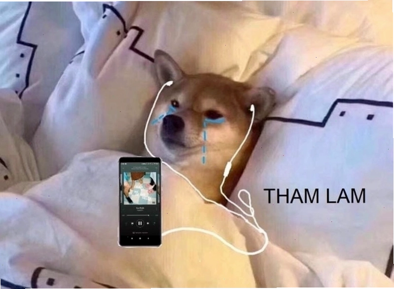 Minh họa vì sao tham lam meme lại viral