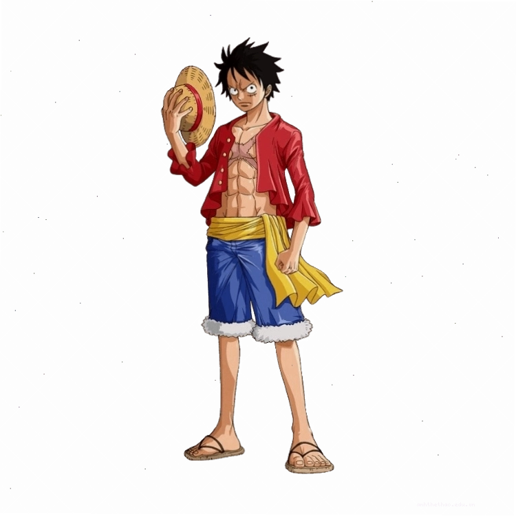 Monkey D. Luffy, thuyền trưởng băng hải tặc Mũ Rơm