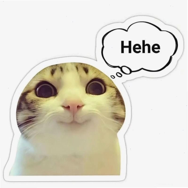 Ngắm nhìn vẻ đẹp meme hehe troll