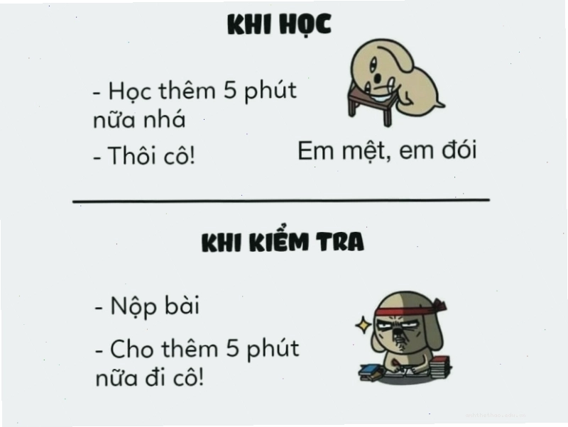 So sánh 5 phút khi học và khi kiểm tra qua meme