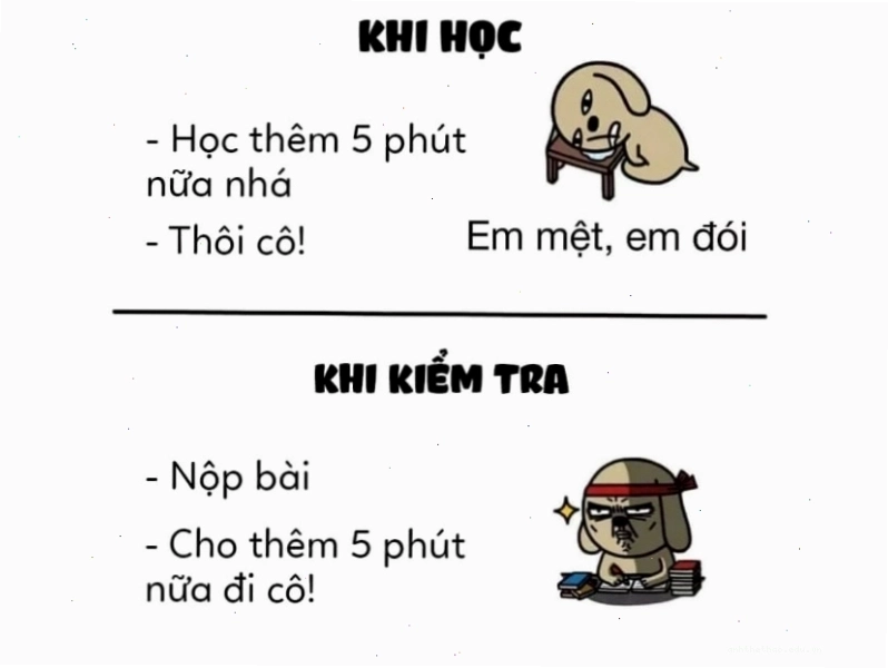 So sánh thời gian học bài và thời gian làm bài kiểm tra