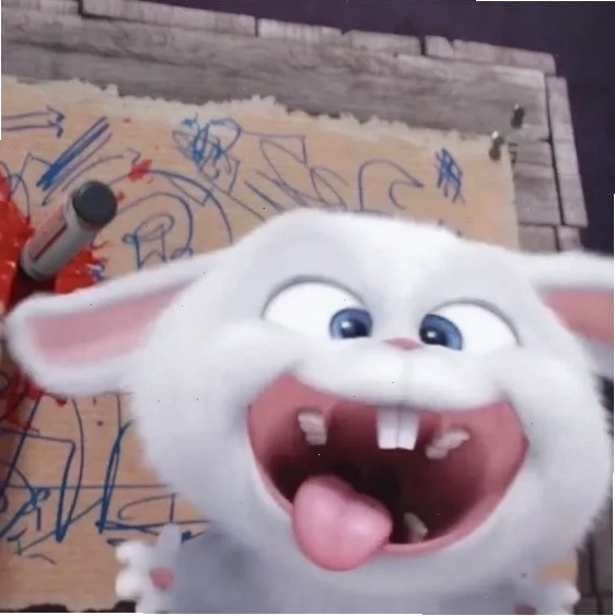Sự thật thú vị về thỏ snowball