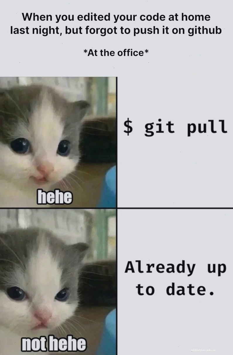 Sưu tầm những bức meme hehe bá đạo
