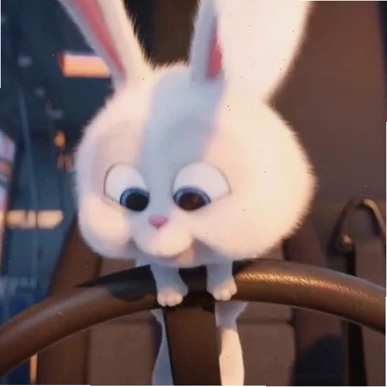 Thỏ snowball avatar chất