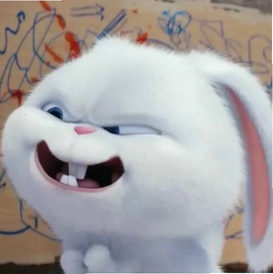 Thỏ snowball avatar dùng nick mạng