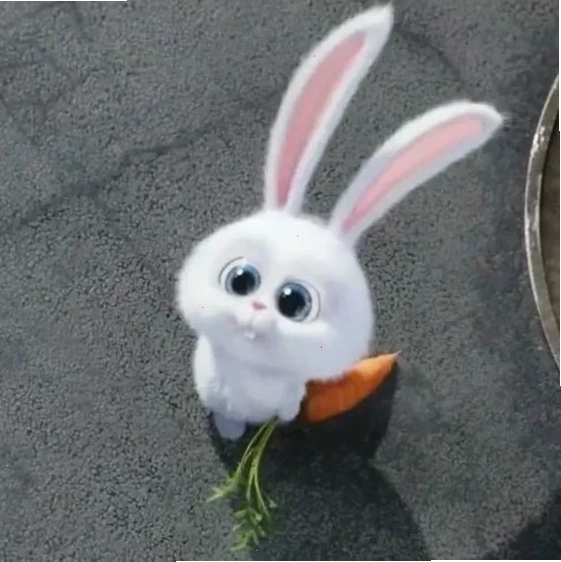 Thỏ snowball cực ngầu