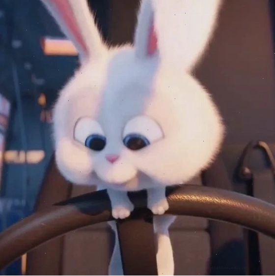 Thỏ snowball meme hài hước viral