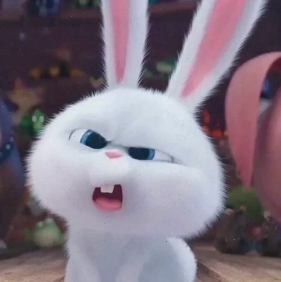 Thỏ snowball phim hoạt hình nổi tiếng