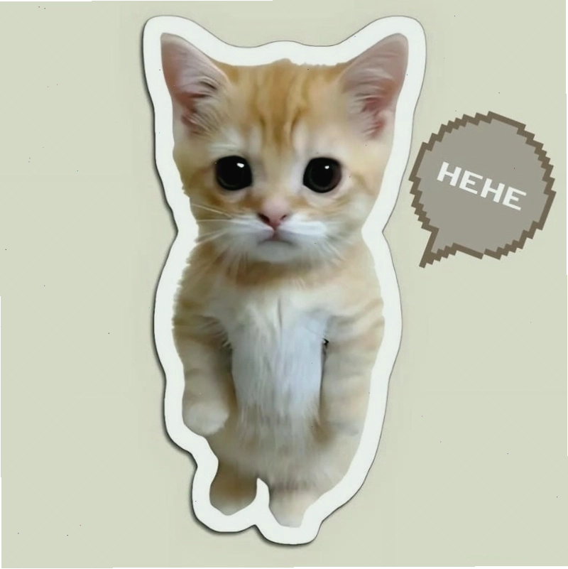 Thức dậy cùng những hình meme hehe viral