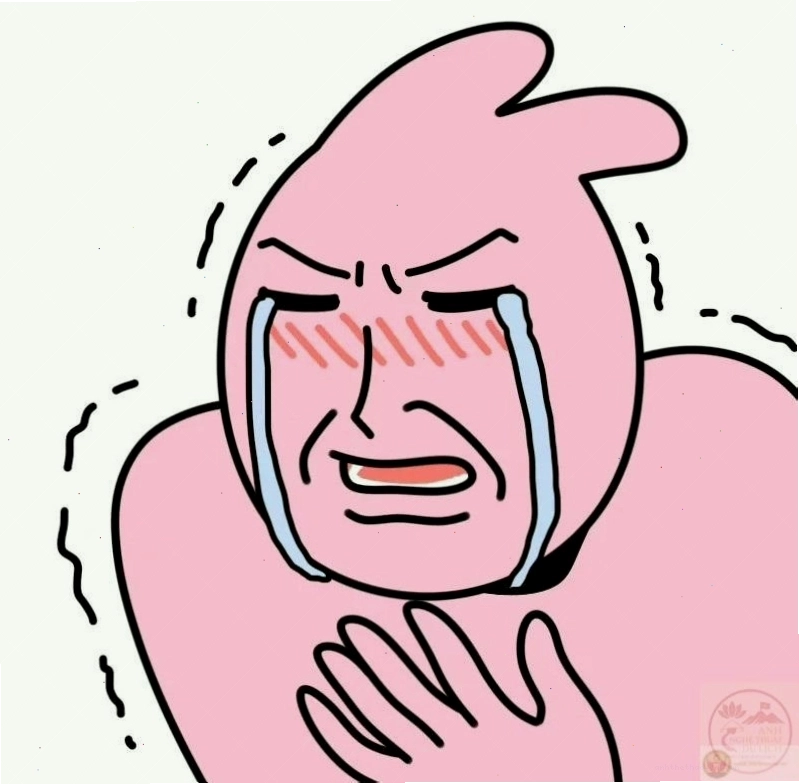 Tổng hợp các meme cầu xin đáng yêu