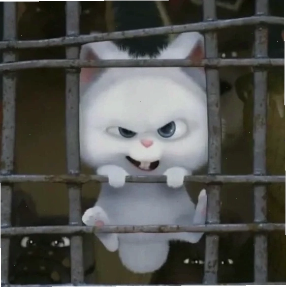 Trend rabbit thỏ snowball avatar