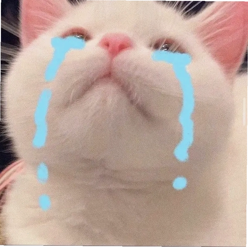 Trọn bộ banana cat cry meme hot trend 2025