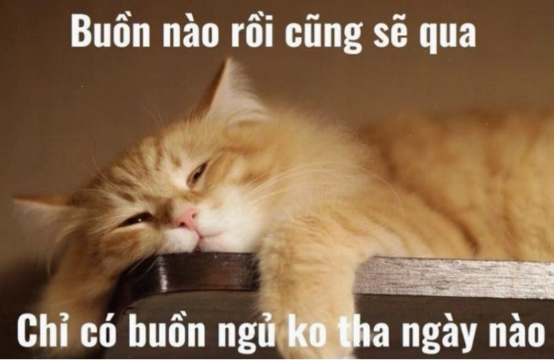 Ý nghĩa của meme chúc ngủ ngon trong giao tiếp hiện đại