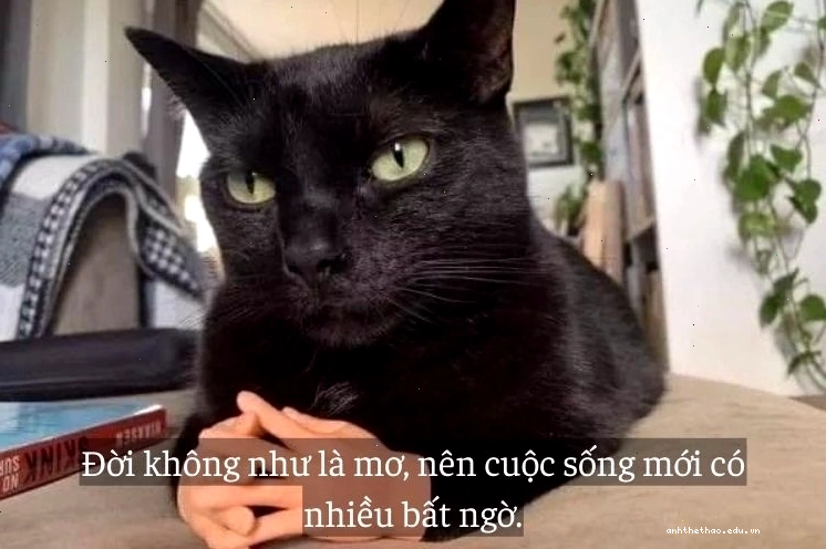Caption hài hước và ngầu dành cho những bạn trẻ yêu thích sự phá cách