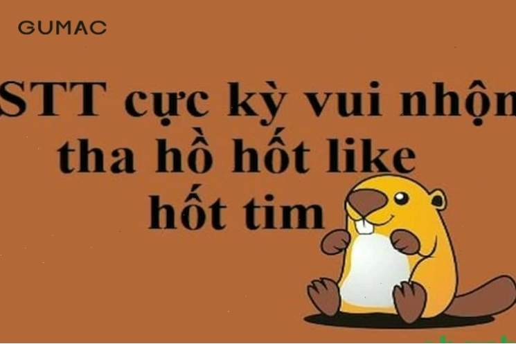 Những caption hài hước giúp bài đăng nhận được hàng ngàn lượt tương tác