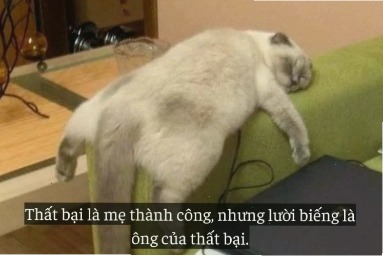 Trạng thái và lời tựa hài hước dành cho bạn bè tri kỷ