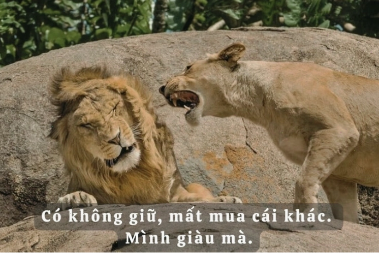 Tuyển tập những câu status hài hước khó đỡ nhất hiện nay