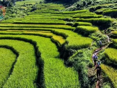 Tổng hợp những bức ảnh đáng nhớ từ sự kiện Vietnam Marathon