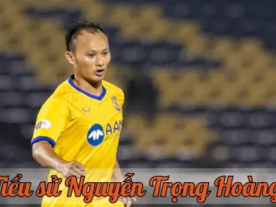 Tiểu sử Nguyễn Trọng Hoàng - Cuộc đời, sự nghiệp và thành tựu nổi bật
