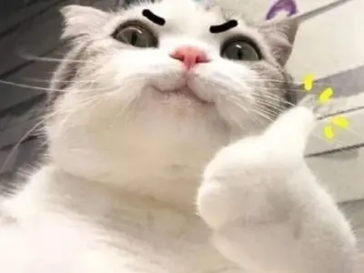 Meme like hot nhất hiện nay khiến dân mạng phát cuồng