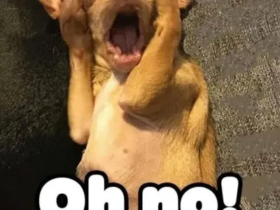 Những meme bất ngờ đỉnh cao, xem ngay để thư giãn cực đỉnh