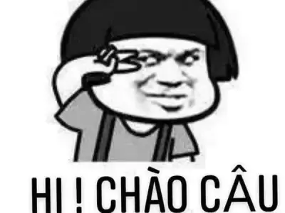 Khám phá bộ sưu tập meme chào độc lạ không thể bỏ qua