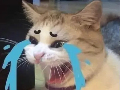 Top 100 khóc meme đỉnh cao khiến bạn cười ra nước mắt