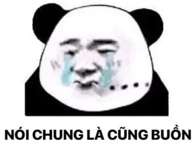 Tổng hợp meme Trung Quốc hot trend được yêu thích nhất