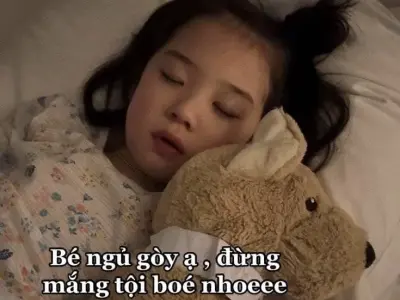 Bộ sưu tập meme đi ngủ hài hước giúp bạn thư giãn tối nay