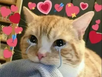 Bộ sưu tập Crying Meme độc đáo bạn không thể bỏ qua