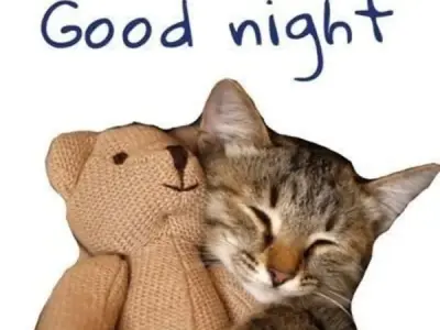Bộ sưu tập ngủ ngon meme cười bể bụng cho mọi tâm trạng