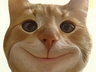 Top meme mèo hot nhất, hài hước khiến bạn cười sảng khoái
