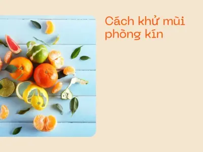 Trải nghiệm cách làm thơm phòng tự nhiên thư giãn như Spa