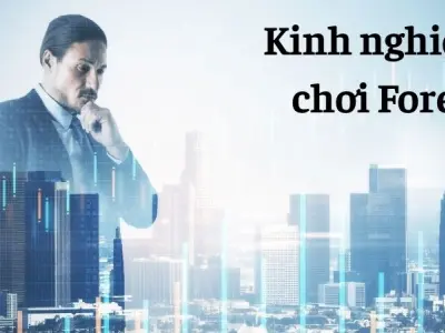 Kinh nghiệm chơi Forex cho người mới tránh thua lỗ