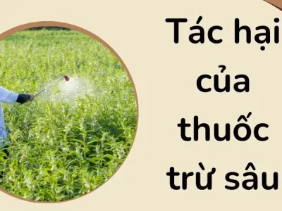 Tác hại của thuốc trừ sâu ảnh hưởng môi trường sống