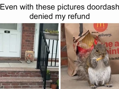 Animal Meme: Nguồn Gốc, Sức Hút và Những Biểu Tượng Viral Nhất