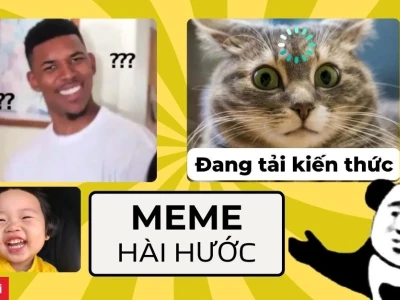 Avatar Ảnh Đại Diện Meme Hài Hước và Vô Tri Cho Năm 2026